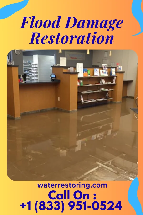Flood Damage Restoration in Alton, TX