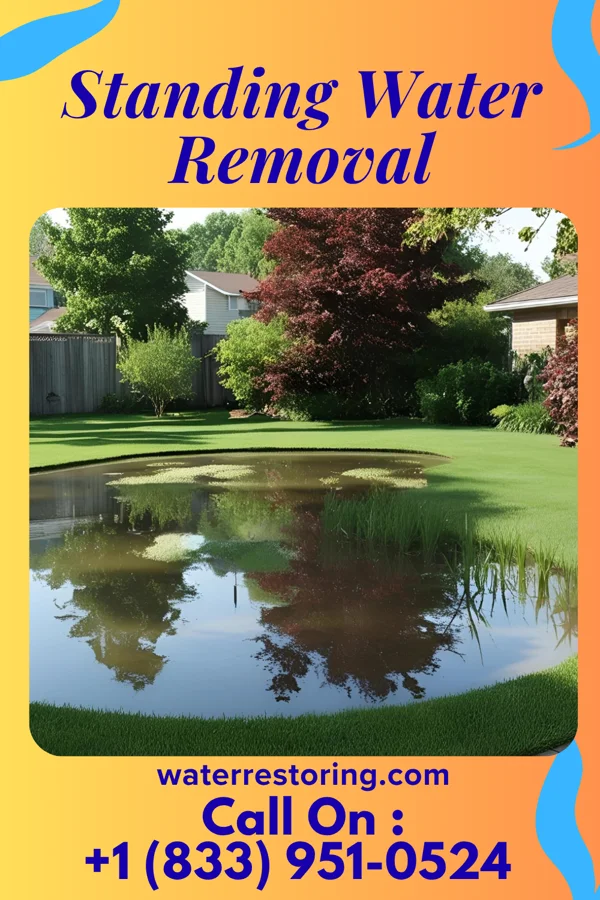 Standing Water Removal in Alton, TX